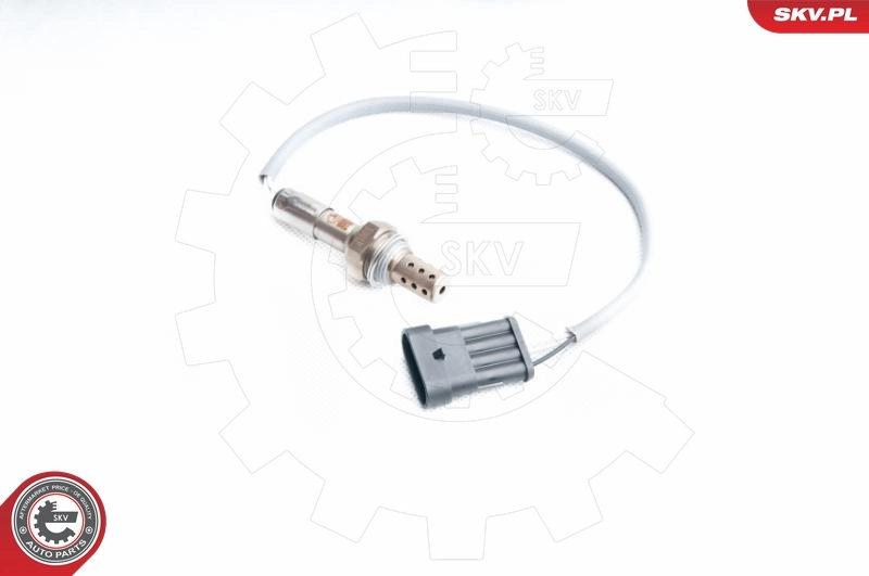 Oxygen Sensor